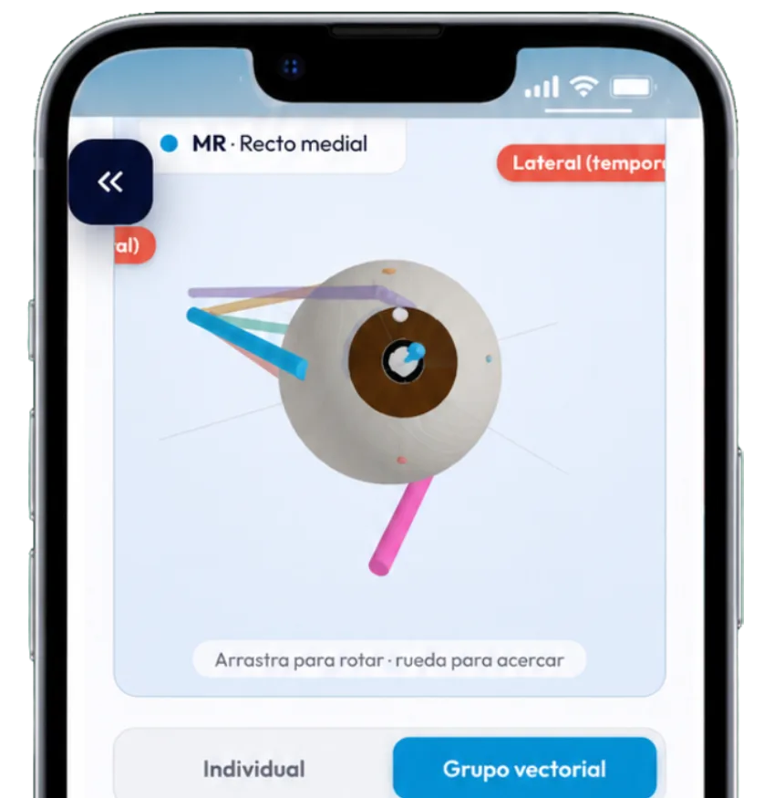 MedGO en un celular mostrando un modelo 3D interactivo del ojo